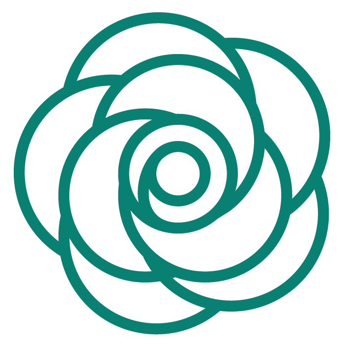 dark-teal-rose-652429